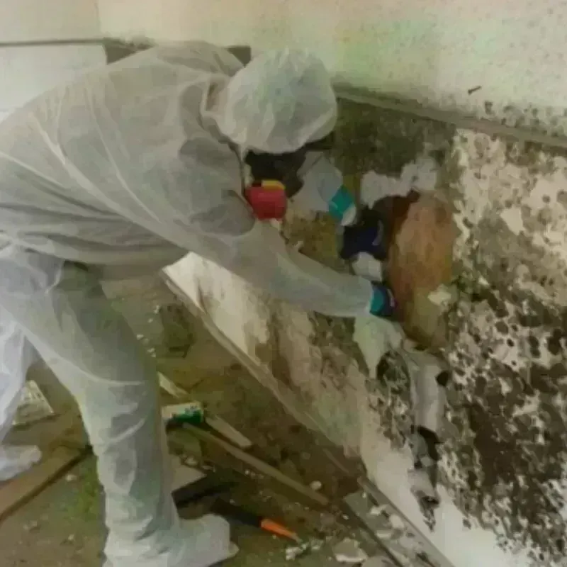 Mold Remediation and Removal in Pompton Lakes, NJ